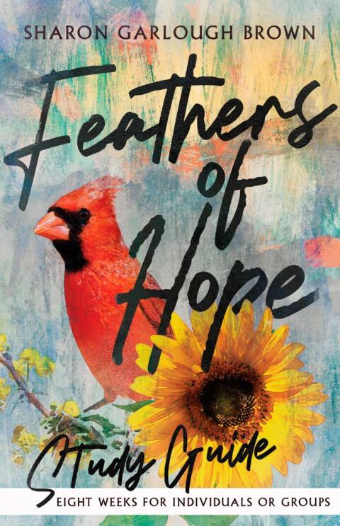 Cover image for book Feathers of Hope Study Guide