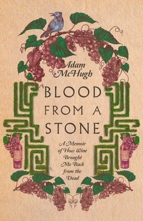 Cover image for book Blood From a Stone