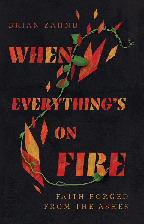 Cover image for book When Everything's on Fire