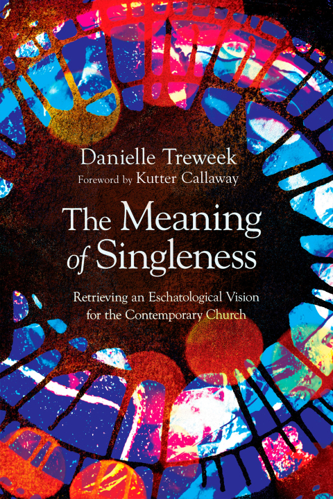 Cover image for book The Meaning of Singleness