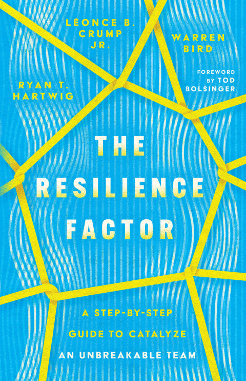 Cover image for book The Resilience Factor