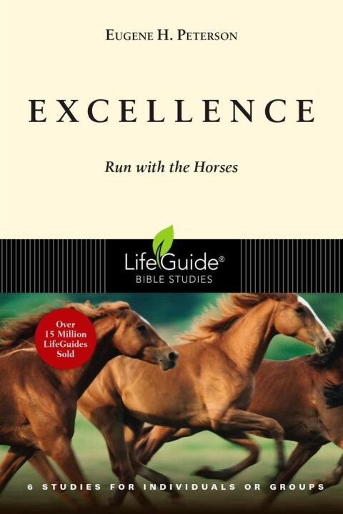 Cover image for book Excellence