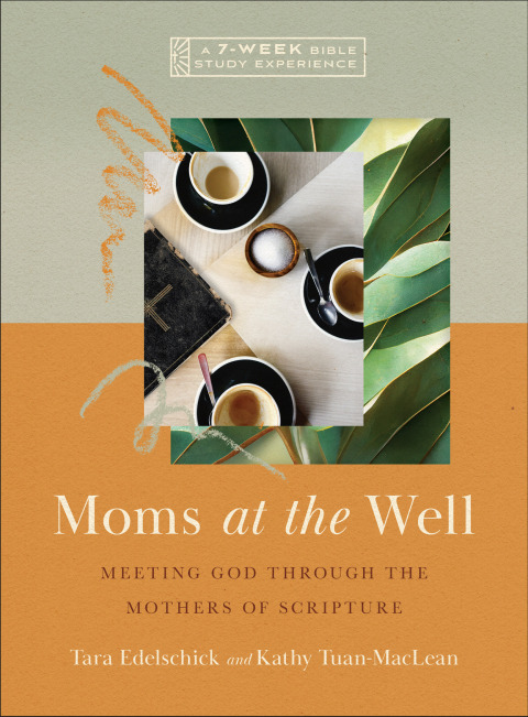 Cover image for book Moms at the Well
