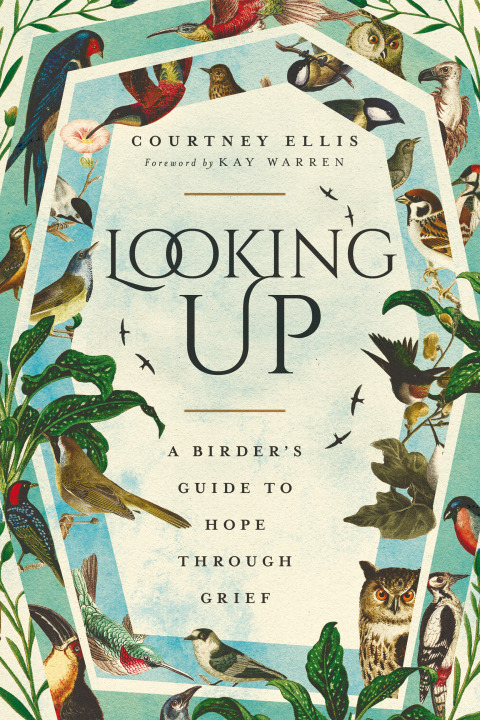 Cover image for book Looking Up