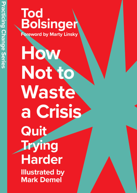 Cover image for book How Not to Waste a Crisis