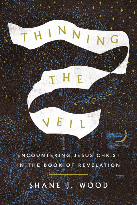 Cover image for book Thinning the Veil