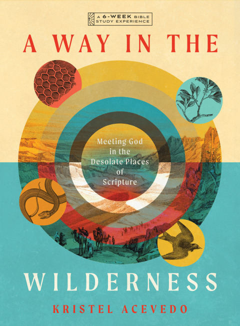 Cover image for book A Way in the Wilderness