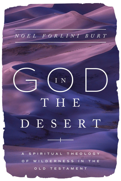 Cover image for book God in the Desert