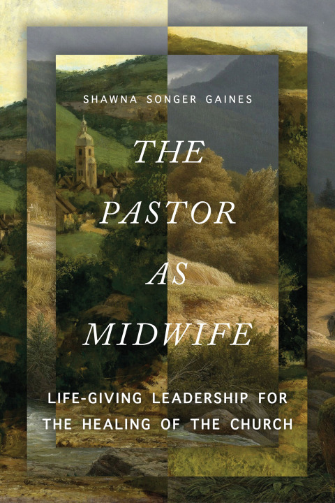Cover image for book The Pastor as Midwife