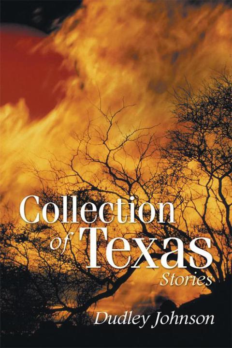 Cover image for book Collection of Texas Stories