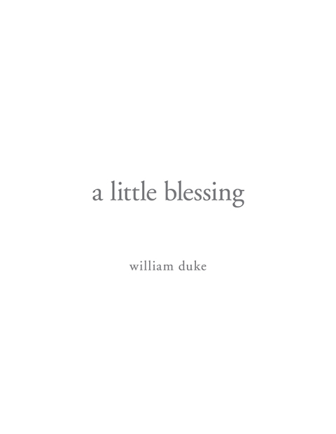 Cover image for book A Little Blessing