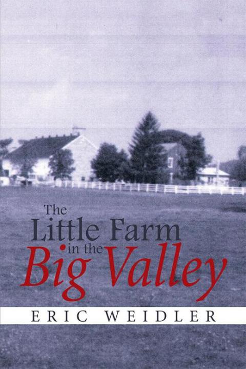 Cover image for book The Little Farm in the Big Valley
