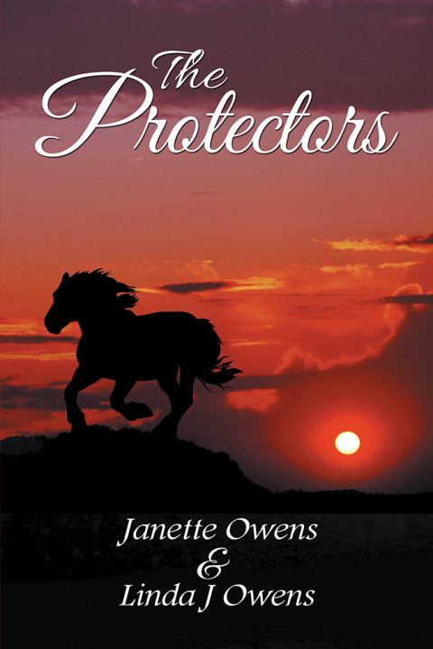 Cover image for book The Protectors