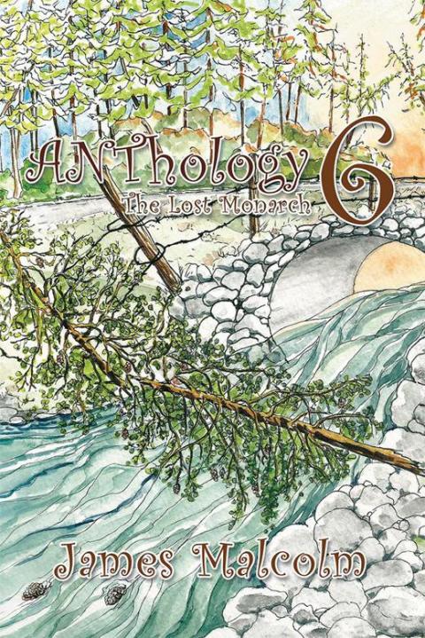 Cover image for book Anthology 6