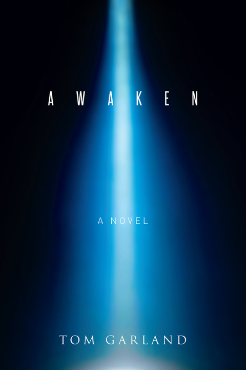 Cover image for book Awaken