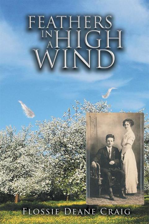 Cover image for book Feathers in a High Wind