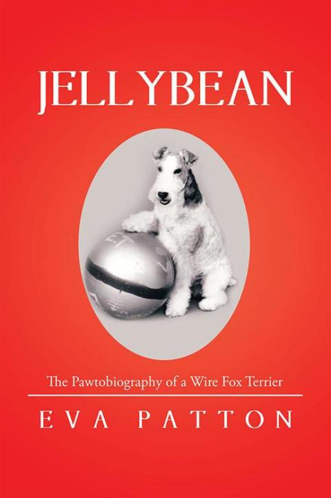 Cover image for book Jellybean