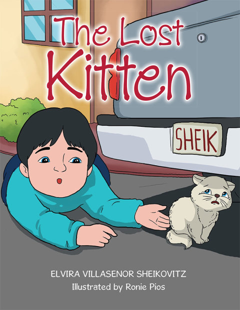 Cover image for book The Lost Kitten