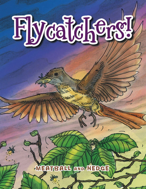 Cover image for book Flycatchers!