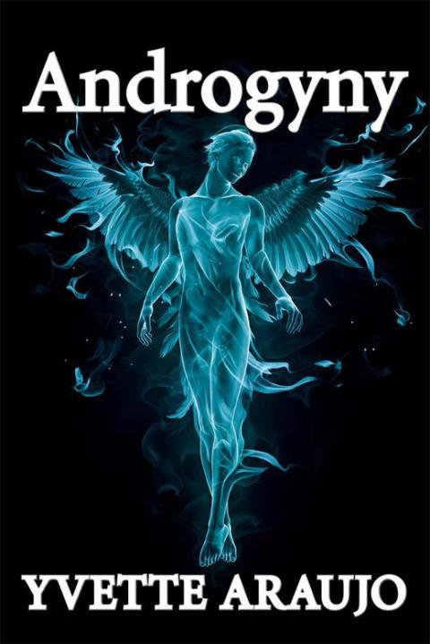 Cover image for book Androgyny