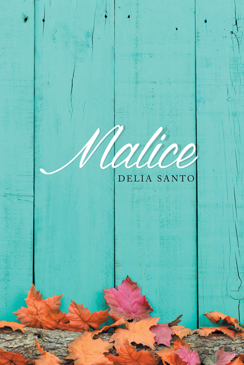 Cover image for book Malice