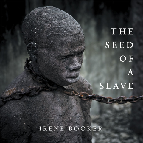 Cover image for book The Seed of a Slave