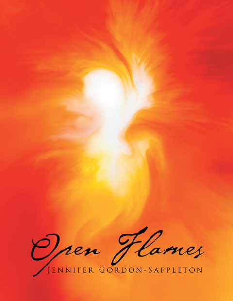 Cover image for book Open Flames