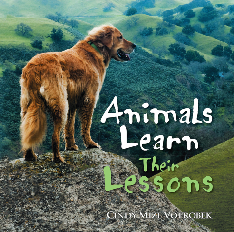 Cover image for book Animals Learn Their Lessons