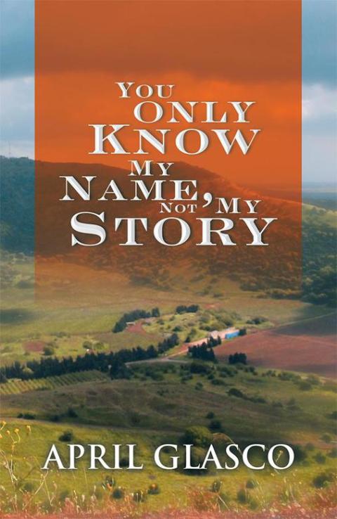 Cover image for book You Only Know My Name, Not My Story