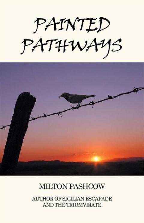 Cover image for book Painted Pathways