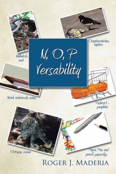 Cover image for book N, O, P  Versability
