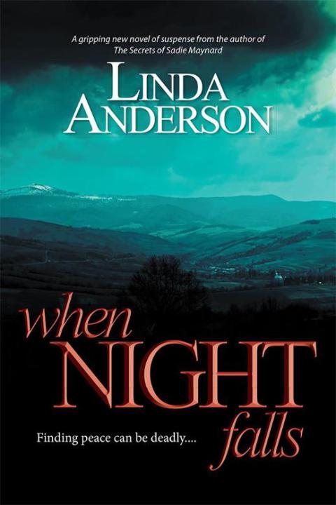 Cover image for book When Night Falls