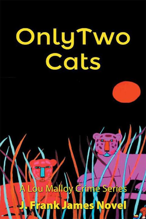 Cover image for book Only Two Cats