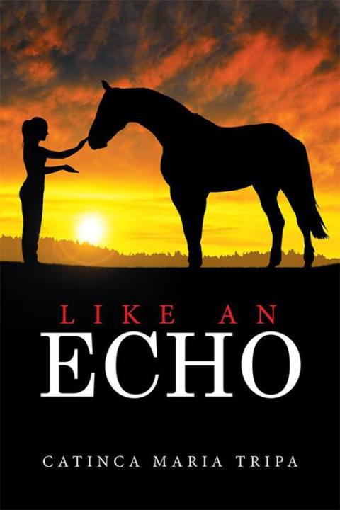 Cover image for book Like an Echo