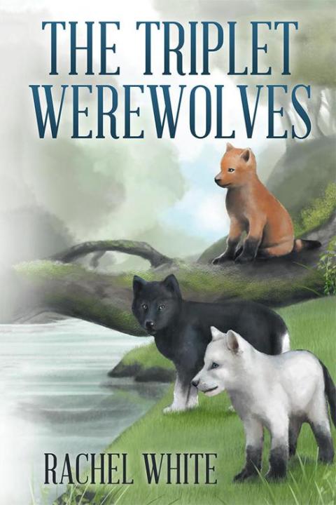 Cover image for book The Triplet Werewolves