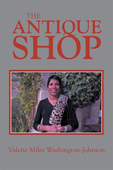 Cover image for book The Antique Shop