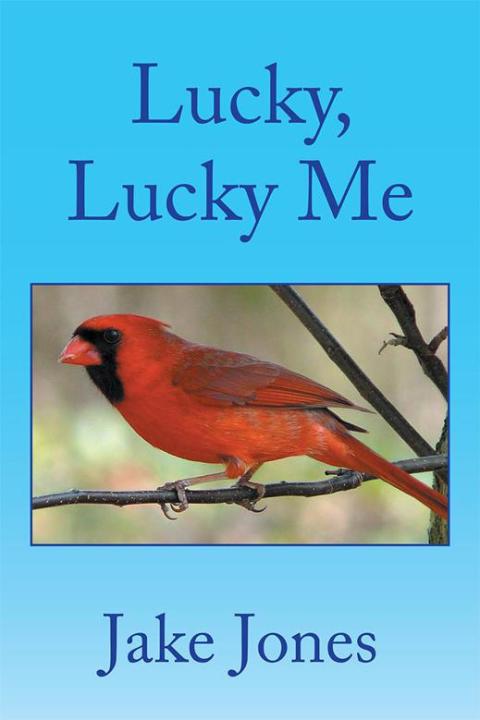 Cover image for book Lucky, Lucky Me