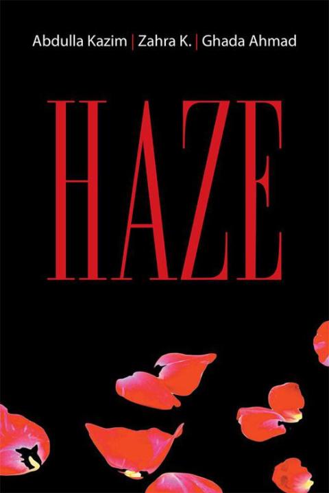 Cover image for book Haze