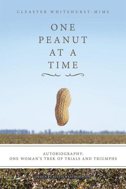 Cover image for book One Peanut at a Time