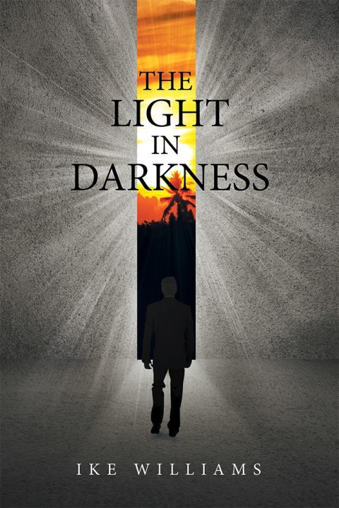 Cover image for book The Light in Darkness