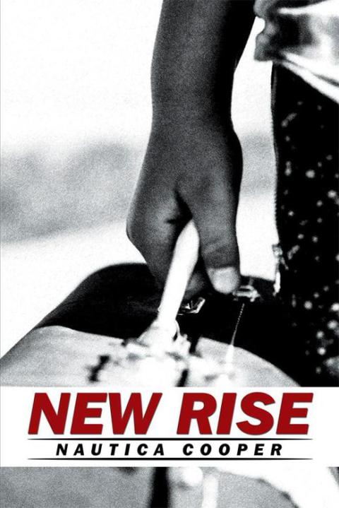 Cover image for book New Rise