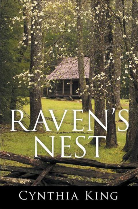 Cover image for book Raven’S Nest