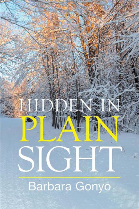 Cover image for book Hidden in Plain Sight