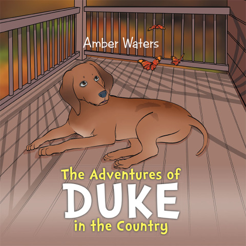 Cover image for book The Adventures of Duke in the Country