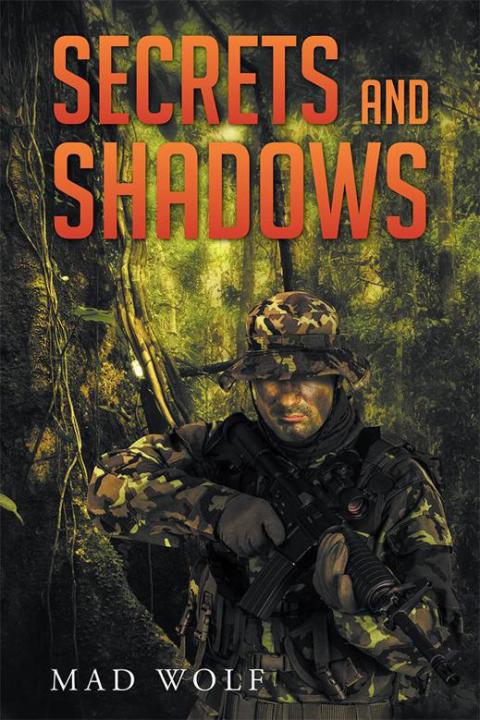 Cover image for book Secrets and Shadows