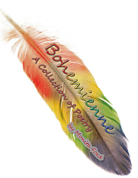 Cover image for book Bohemienne