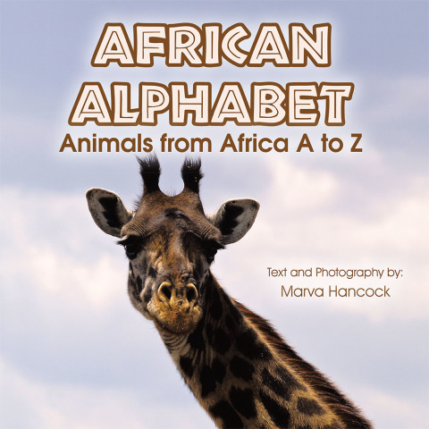 Cover image for book African Alphabet
