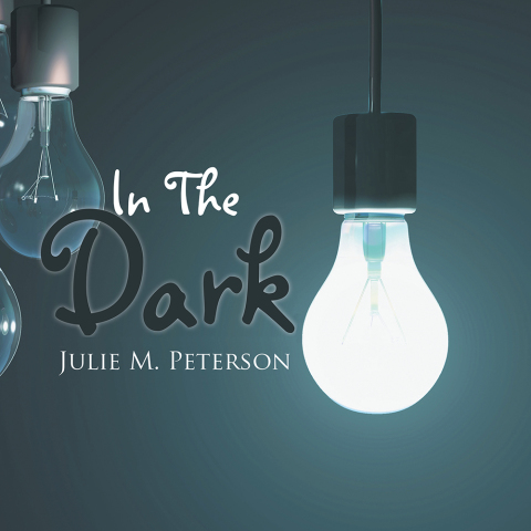 Cover image for book In the Dark