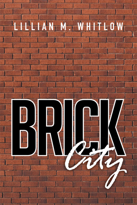 Cover image for book Brick City