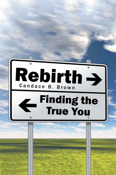 Cover image for book Rebirth . . .